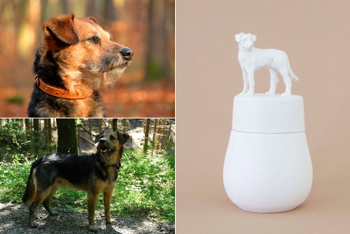 Tierskulptur-Urne_Hund_Spencer_Peter_Ripka-min